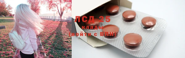 ГАЛЛЮЦИНОГЕННЫЕ ГРИБЫ Елизово