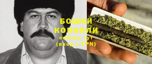 ГАЛЛЮЦИНОГЕННЫЕ ГРИБЫ Елизово
