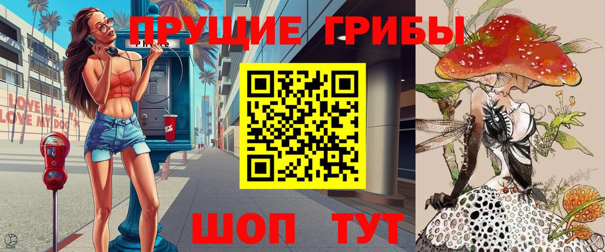 Псилоцибиновые грибы мицелий Зерноград